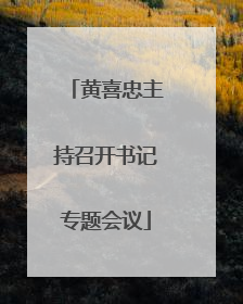 黄喜忠主持召开书记专题会议