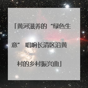 黄河滋养的“绿色生意” 唱响长清区沿黄村的乡村振兴曲