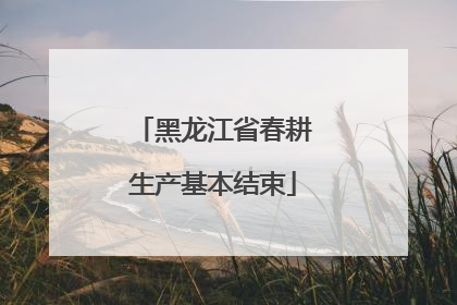 黑龙江省春耕生产基本结束