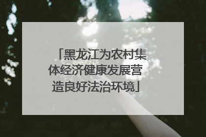 黑龙江为农村集体经济健康发展营造良好法治环境