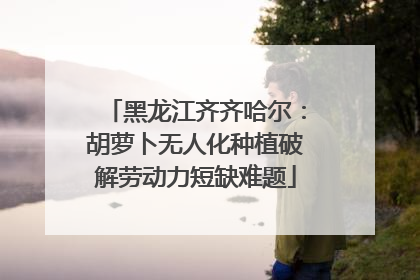 黑龙江齐齐哈尔：胡萝卜无人化种植破解劳动力短缺难题