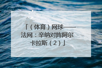 （体育）网球——法网：辛纳对阵阿尔卡拉斯（2）