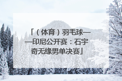 （体育）羽毛球——印尼公开赛：石宇奇无缘男单决赛