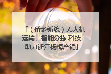 （侨乡新貌）无人机运输、智能分拣 科技助力浙江杨梅产销