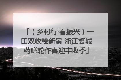 （乡村行·看振兴）一田双收绘新景 浙江婺城药膳轮作喜迎丰收季