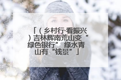 （乡村行·看振兴）吉林辉南荒山变“绿色银行” 绿水青山有“钱景”