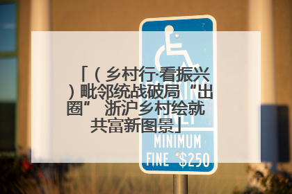 （乡村行·看振兴）毗邻统战破局“出圈” 浙沪乡村绘就共富新图景