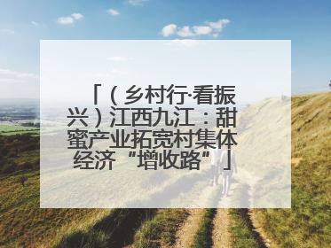 （乡村行·看振兴）江西九江：甜蜜产业拓宽村集体经济“增收路”