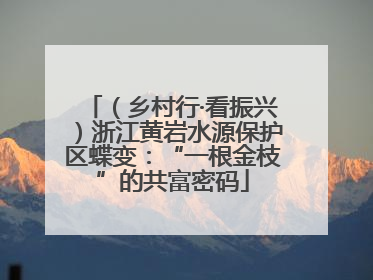 （乡村行·看振兴）浙江黄岩水源保护区蝶变：“一根金枝”的共富密码