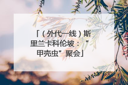 （外代一线）斯里兰卡科伦坡：“甲壳虫”聚会