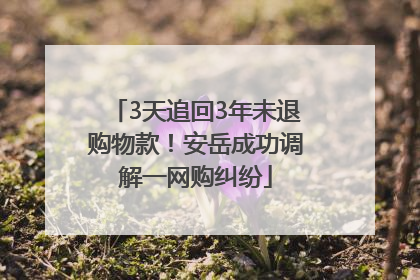 3天追回3年未退购物款！安岳成功调解一网购纠纷