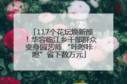 117个花坛焕新颜！华容临江乡干部群众变身园艺师 “咔嚓咔嚓”省下数万元