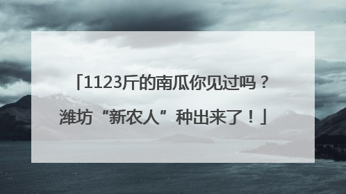 1123斤的南瓜你见过吗？潍坊“新农人”种出来了！