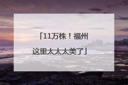 11万株！福州这里太太太美了