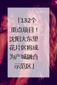132个重点项目！沈阳大东望花片区将成为产城融合示范区