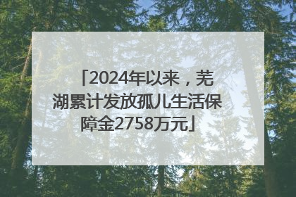 2024年以来，芜湖累计发放孤儿生活保障金2758万元