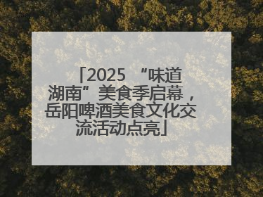 2025 “味道湖南”美食季启幕，岳阳啤酒美食文化交流活动点亮