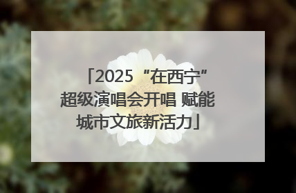 2025“在西宁”超级演唱会开唱 赋能城市文旅新活力