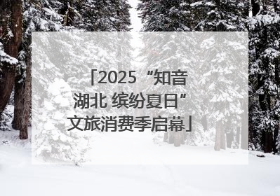 2025“知音湖北 缤纷夏日”文旅消费季启幕