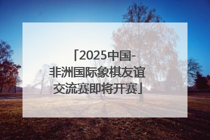 2025中国-非洲国际象棋友谊交流赛即将开赛