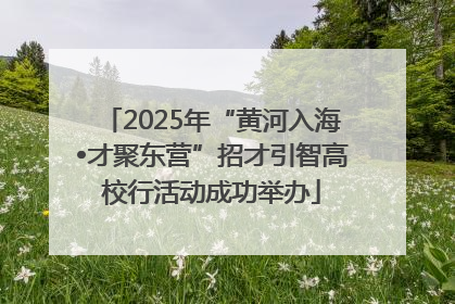 2025年“黄河入海•才聚东营”招才引智高校行活动成功举办