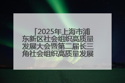 2025年上海市浦东新区社会组织高质量发展大会暨第二届长三角社会组织高质量发展峰会成功举办