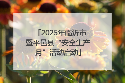 2025年临沂市暨平邑县“安全生产月”活动启动