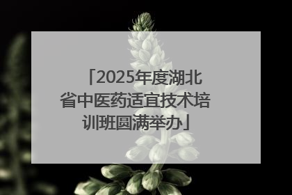 2025年度湖北省中医药适宜技术培训班圆满举办