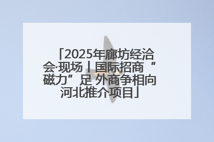 2025年廊坊经洽会·现场丨国际招商“磁力”足 外商争相向河北推介项目