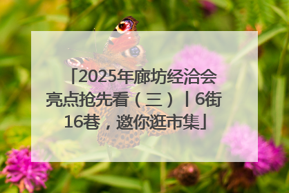 2025年廊坊经洽会亮点抢先看（三）丨6街16巷，邀你逛市集