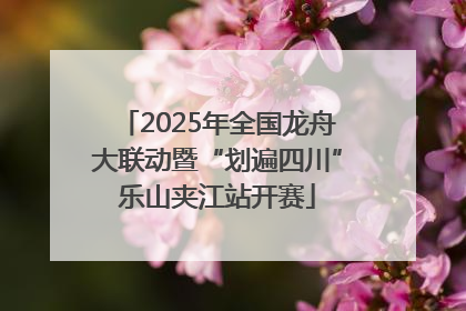 2025年全国龙舟大联动暨“划遍四川”乐山夹江站开赛