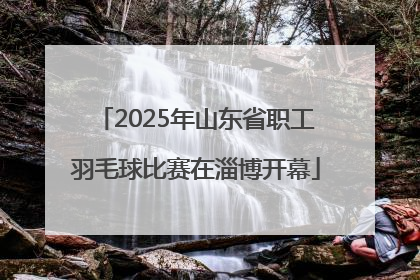 2025年山东省职工羽毛球比赛在淄博开幕
