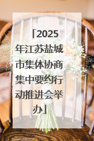 2025年江苏盐城市集体协商集中要约行动推进会举办