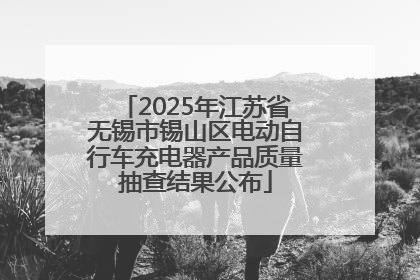 2025年江苏省无锡市锡山区电动自行车充电器产品质量抽查结果公布