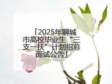 2025年聊城市高校毕业生“三支一扶”计划招募面试公告