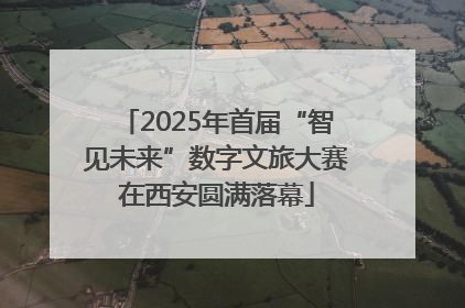 2025年首届“智见未来”数字文旅大赛在西安圆满落幕