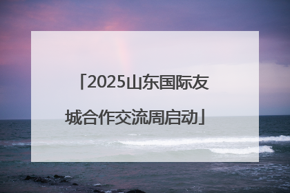 2025山东国际友城合作交流周启动