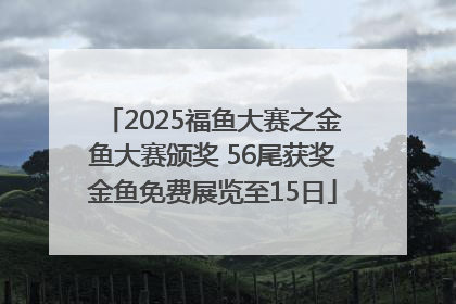 2025福鱼大赛之金鱼大赛颁奖 56尾获奖金鱼免费展览至15日