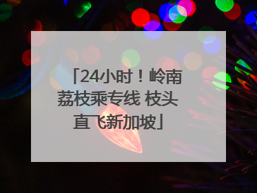 24小时！岭南荔枝乘专线 枝头直飞新加坡