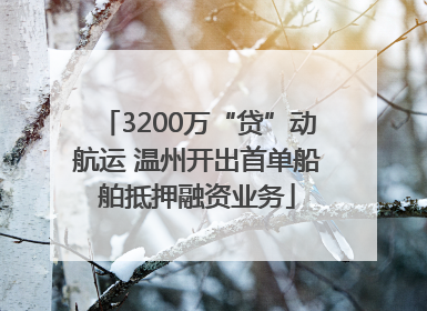 3200万“贷”动航运 温州开出首单船舶抵押融资业务