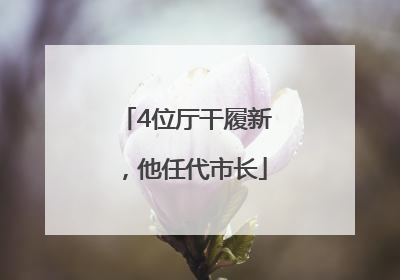 4位厅干履新，他任代市长