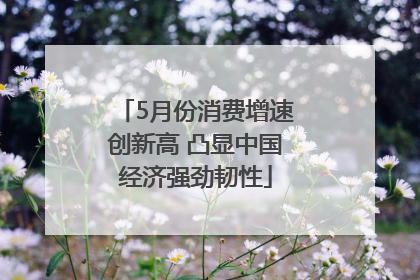 5月份消费增速创新高 凸显中国经济强劲韧性