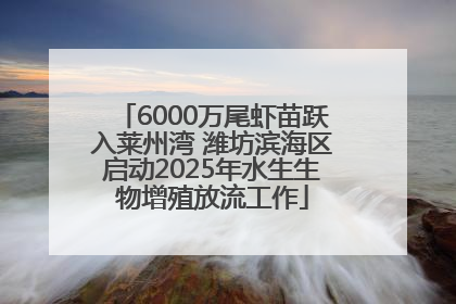 6000万尾虾苗跃入莱州湾 潍坊滨海区启动2025年水生生物增殖放流工作