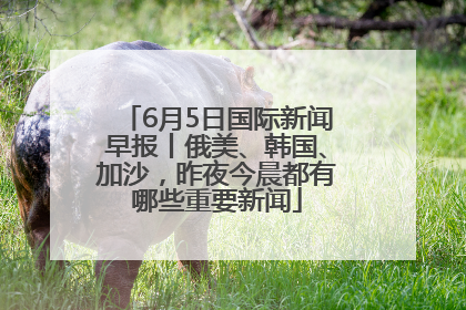 6月5日国际新闻早报丨俄美、韩国、加沙，昨夜今晨都有哪些重要新闻
