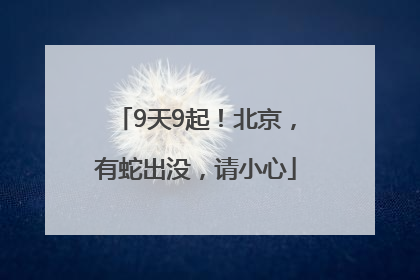 9天9起！北京，有蛇出没，请小心
