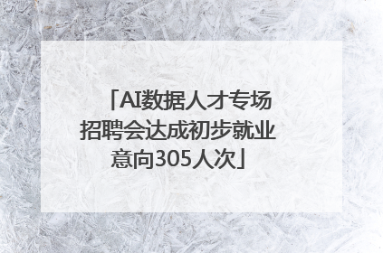 AI数据人才专场招聘会达成初步就业意向305人次