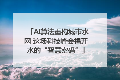 AI算法重构城市水网 这场科技峰会揭开水的“智慧密码”