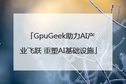 GpuGeek助力AI产业飞跃 重塑AI基础设施